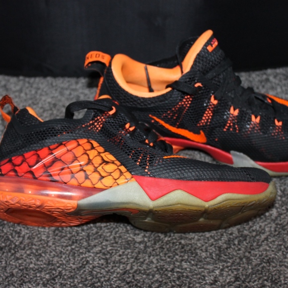 lebron snakeskin shoes